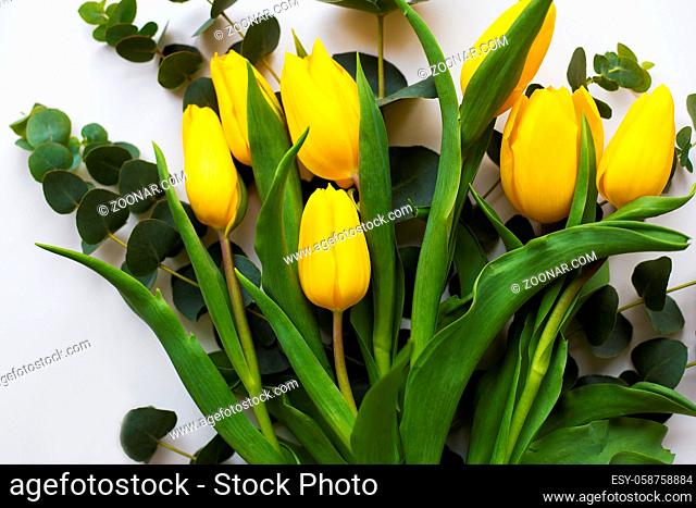 Beautiful yellow tulips on a white table