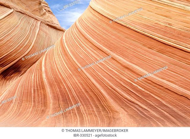The Wave. North Coyote Buttes. Vermilion Cliffs. Paria Canyon. Arizona. USA