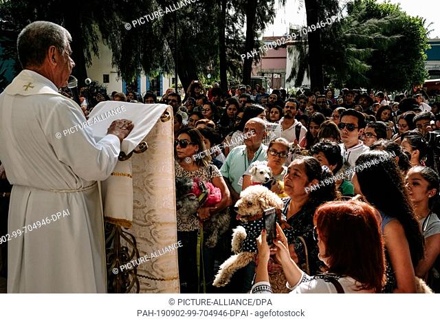 31 August 2019, Mexico, Oaxaca: A priest speaks to the people who come with their pets to receive the blessing. On 31 August