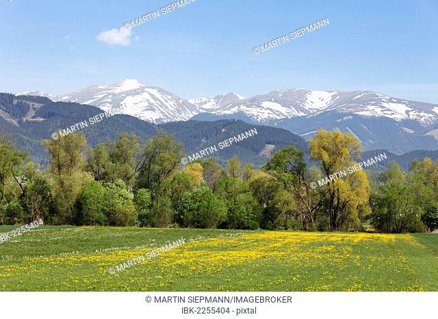Murtal valley near Knittelfeld, Seckauer Alpen mountains at the back, Upper Styria, Styria, Austria, Europe