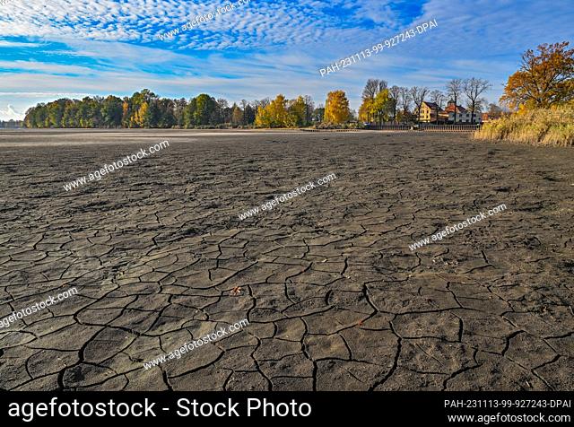 13 November 2023, Brandenburg, Peitz: Cracks have formed at the bottom of a drained carp pond. This fish pond is drained every year in October to remove the...