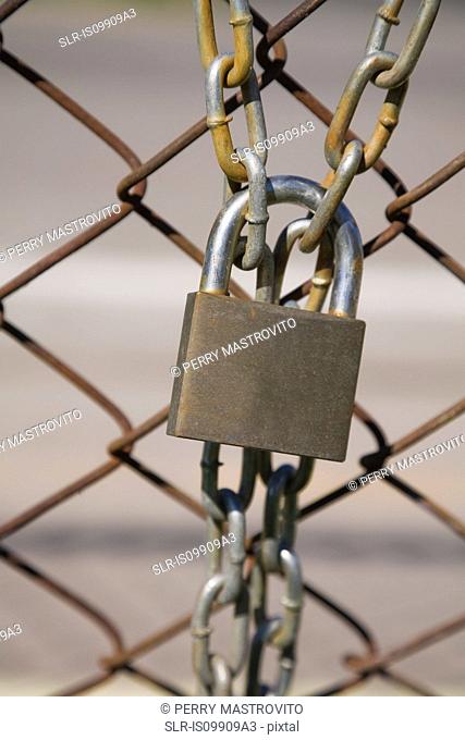 Padlock and wire mesh fence