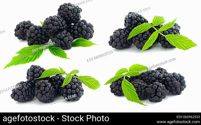 Set of piles of blackberry berries with leaves isolated on white background