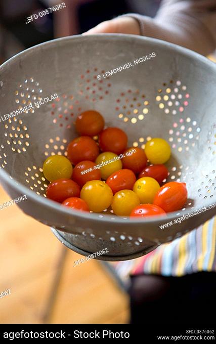 Hands holding red and yellow cocktail tomatoes in colander