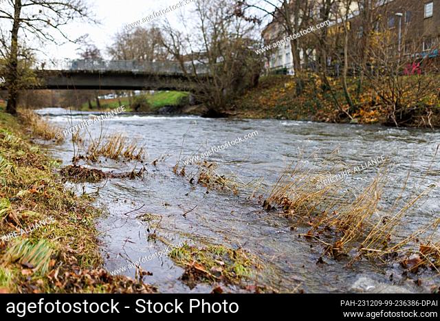 09 December 2023, Baden-Württemberg, Freiburg im Breisgau: Grass surrounded by water stands on the banks of the Dreisam. According to the state's flood...