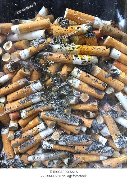Discarded Cigarette Butts in a Transparent Pavement Bin . . .