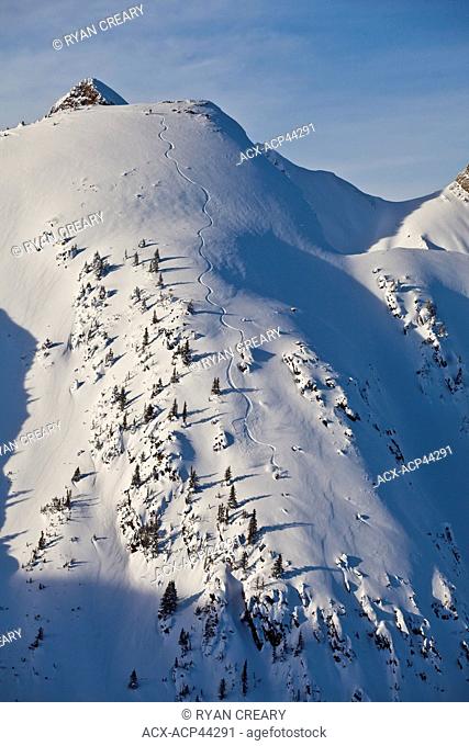 A backcountry snowboarder rides a steep line in the Kicking Horse Backcountry, Golden, Britsh Columbia, Canada