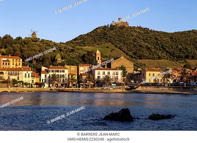 France, Pyrenees Orientales, Cote Vermeille, Collioure