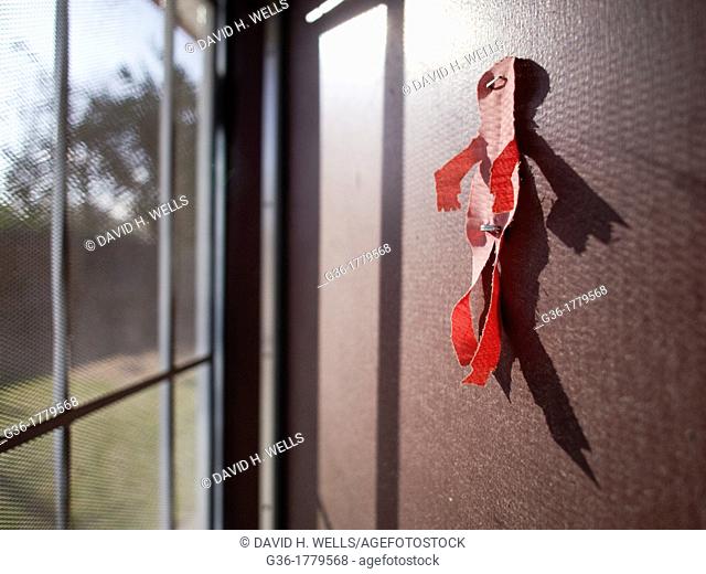 Cutout on a door near screen door of a foreclosed home in Fresno, California, United States