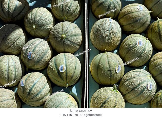French Charentais melons on sale at food market at La Reole in Bordeaux region of France