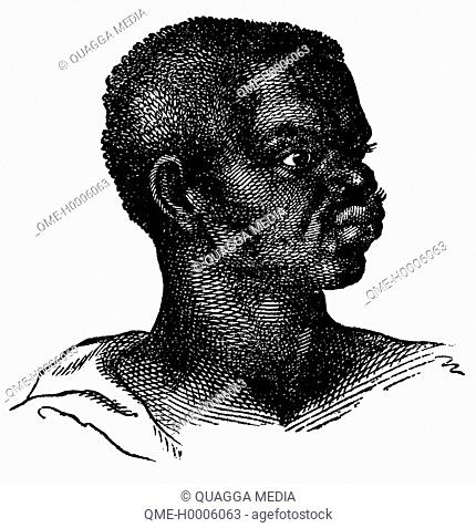 Portrait of an African from the Guinea coast