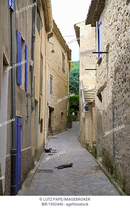 Alley with cats, Pierrelongue, Provence, southern France, Europe