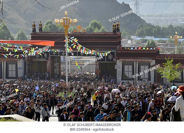 Tibetan Buddhism, thousands of visitors of the Thangka, a giant Buddha image is unfurled during the Shoton, Sho Dun or Yoghurt Festival, Drepung Monastery