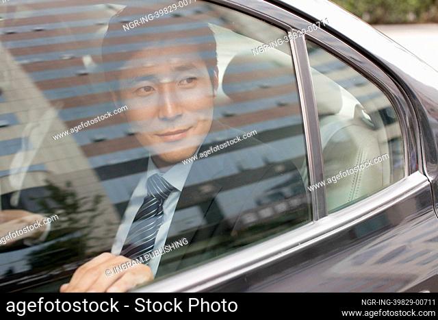 Smiling Businessman in Car Back