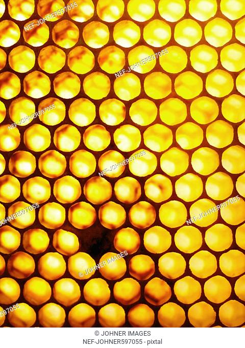 Honeycomb, Sweden