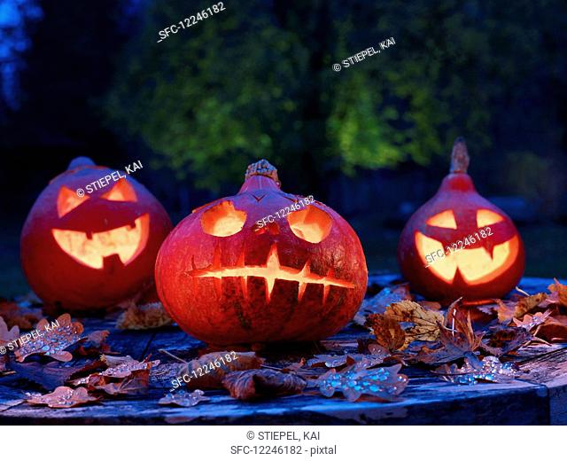Three Halloween pumpkins in a garden
