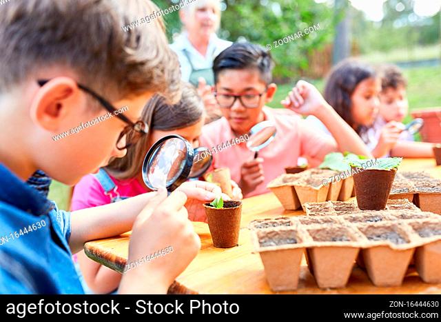 Kinder betrachten Pflanzen durch eine Lupe im Biologie Unterricht im Ferienlager