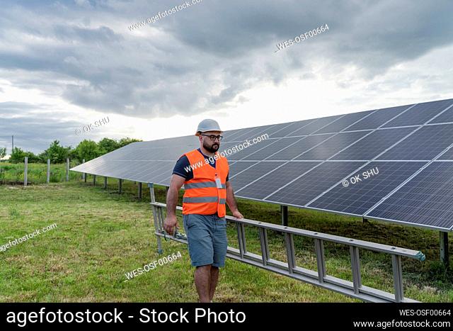 Engineer with ladder walking by solar panels