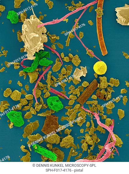 Coloured scanning electron micrograph (SEM) of House dust. Components such as fibre, hair, pollen, insect faecal matter and scale (animal dander) cause allergic...