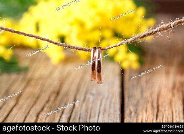 Mimosa flowers branch on wooden background, Weddig decoration idea