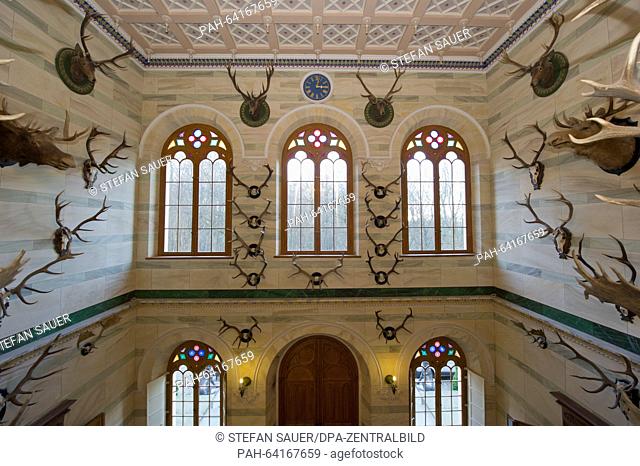 Hunting trophies hang attached from the walls of a central hall in the hunting seat of Granitz, near Sellin on the island of Ruegen, Germany, 23 November 2015