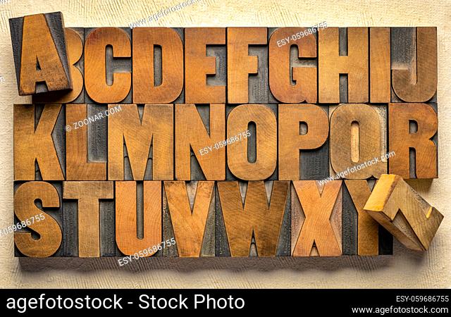 alphabet in vintage letterpress wood type printing blocks against handmade bark paper