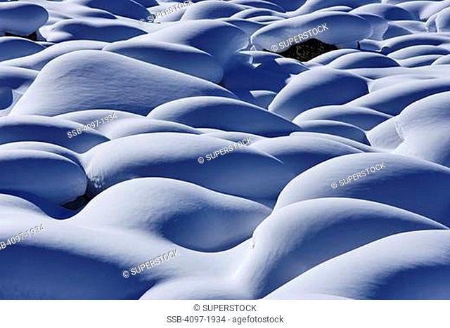 Close-up of snow mounds, Jasper National Park, Alberta, Canada