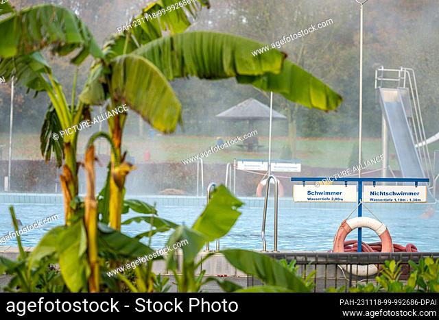 PRODUCTION - 17 November 2023, North Rhine-Westphalia, Oelde: Behind a banana tree in the outdoor pool, water vapor rises from the 28-degree pool at an outside...
