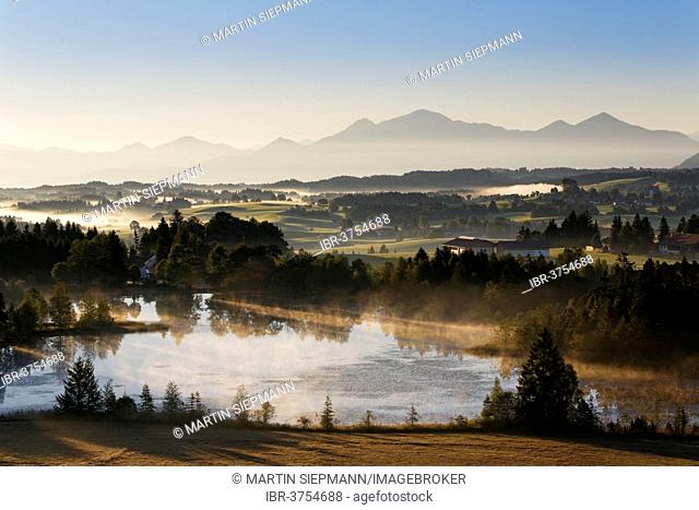 Early morning mood on Schwaigsee lake, Wildsteig, Pfaffenwinkel region, Upper Bavaria, Bavaria, Germany