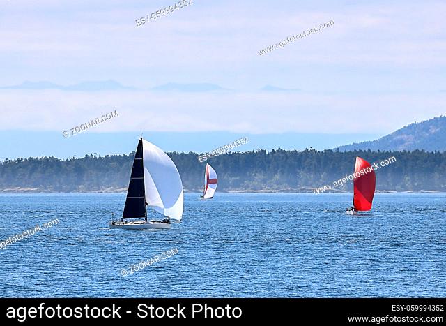 Sailboats taking advantage of a beautiful day in the waters of the San Juan islands in Washington state