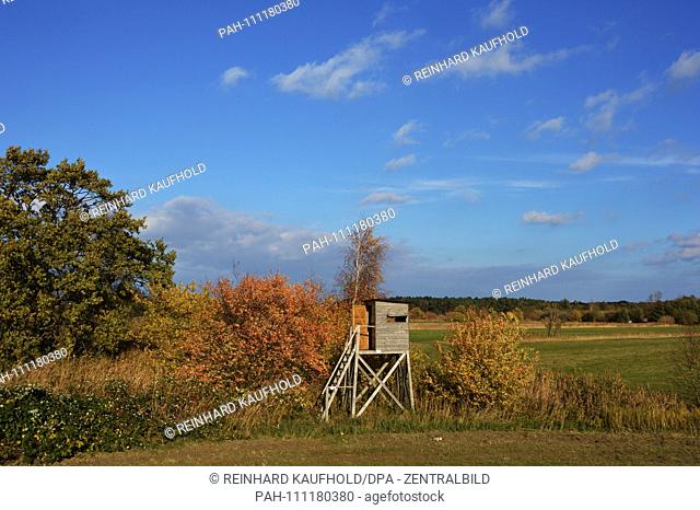 A high stand stands on a meadow near Zingst on the Darss, recorded on 31.10.2018 | usage worldwide. - Zingst/Mecklenburg - Vorpommern/Deutschland
