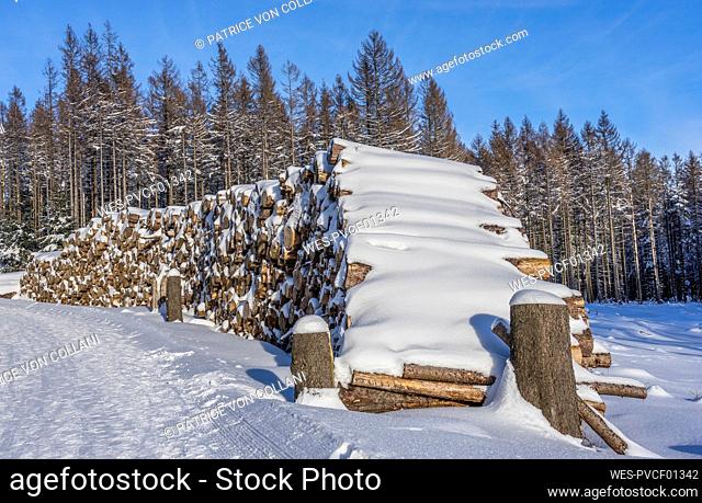 Logs covered with snow at Harz National Park, Wernigerode, Saxony-Anhalt, Germany