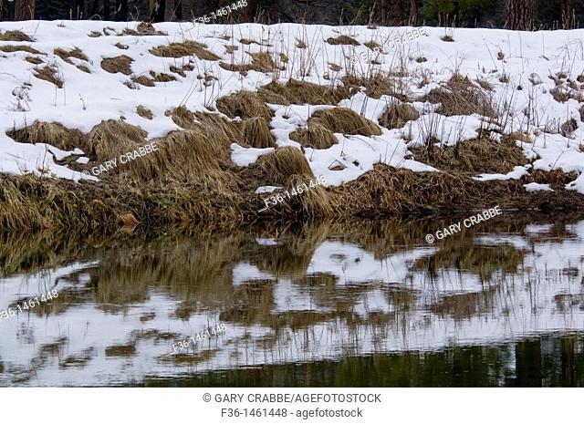 Appalosa pattern in melting spring snow along the Merced River, Yosemite National Park, California