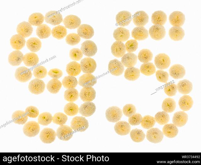 Arabic numeral 95, ninety five, from cream flowers of chrysanthemum, isolated on white background