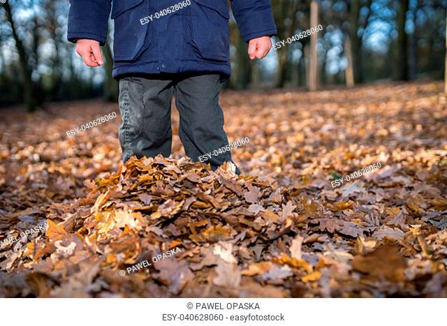 Boy standing deep in the fallen leaves in autumn in a forest