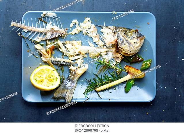 Leftover food and the skeleton of a gilt-head bream on a serving try