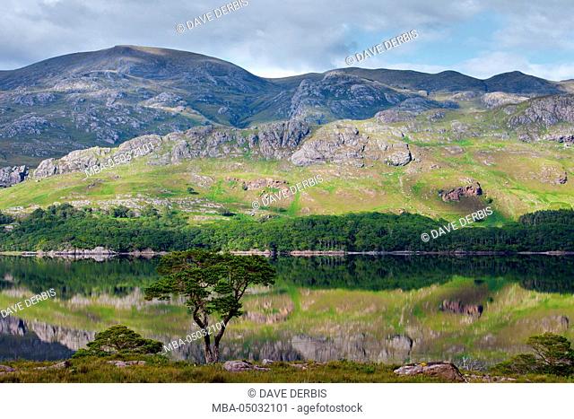 Loch Tollie, tree, lake, Island, mountains, mountain range, highlands, Creag Mhòr Tollaidh, Scotland