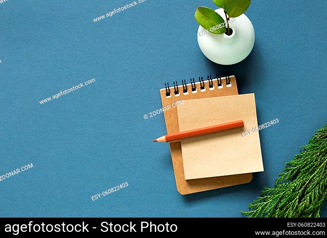 Notebook and colored pencil and vase of plant on desk. navy blue background. flat lay, top view, copy space