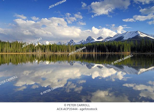 Buller Mountain Pond, south of Canmore, Spray Valley Provincial Park, Alberta, Canada
