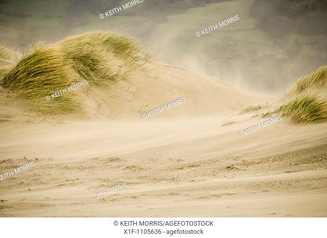 Wind blowing sand , Ynyslas Nature Reserve, Borth, Ceredigion, Wales, UK