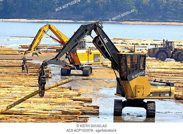 Equipment sorting logs at sawmill, Ladysmith, Vancouver Island, British Columbia