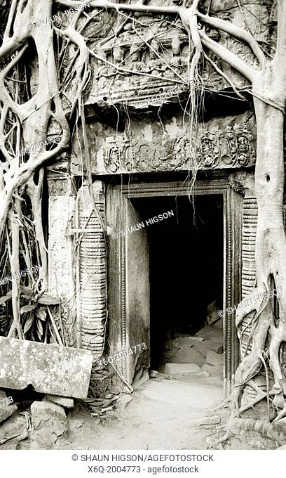Doorway in Ta Prohm. The Temples of Angkor in Siem Reap in Cambodia in Southeast Asia Far East
