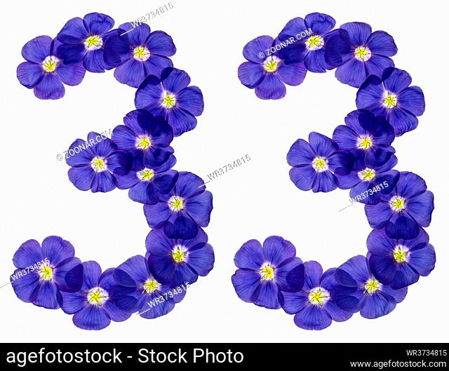 Arabic numeral 33, thirty three, from blue flowers of flax, isolated on white background