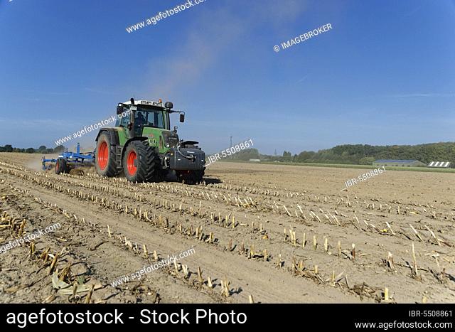 Farmer cultivating harvested maize field, Nettetal, Viersen, NRW, Germany, Europe