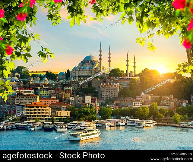 Sunset in Istanbul city with the view on Golden horn bay