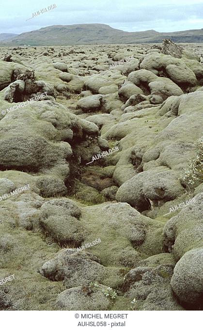 Islande - mousse - lichen - Roche volcanique