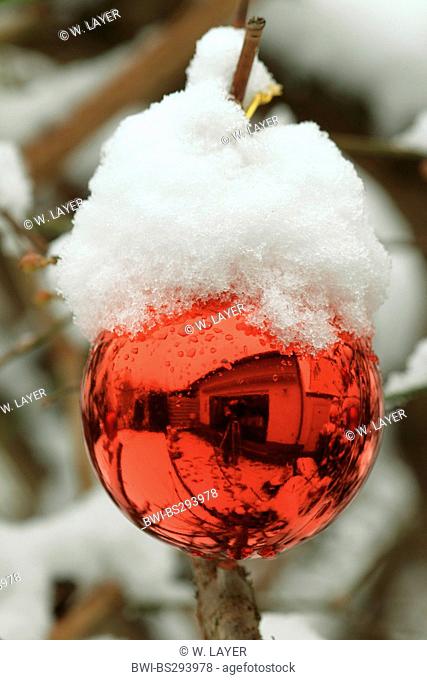 Christmas ball on a snowcovered Christmas tree
