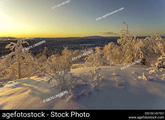 Winterlandscape at sunset making the sky colorfull with nice warm color, Gällivare county, swedish Lapland, Sweden