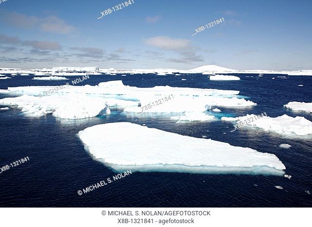 Icebergs and bergy bits floating in the Weddell Sea in and around the Antarctic Peninsula during the summer months
