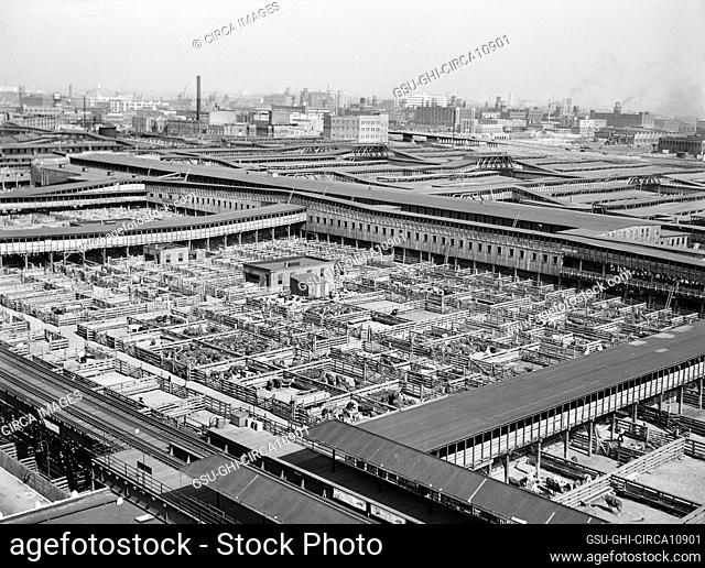 Union Stock Yards, Cattle Pens in foreground, Pig Pens in Background, Chicago, Illinois, USA, John Vachon, U.S. Office of War Information/U.S